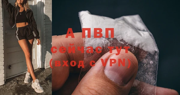 винт Белокуриха