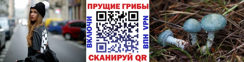 shop как зайти  Бутурлиновка  Псилоцибиновые грибы Magic Shrooms 