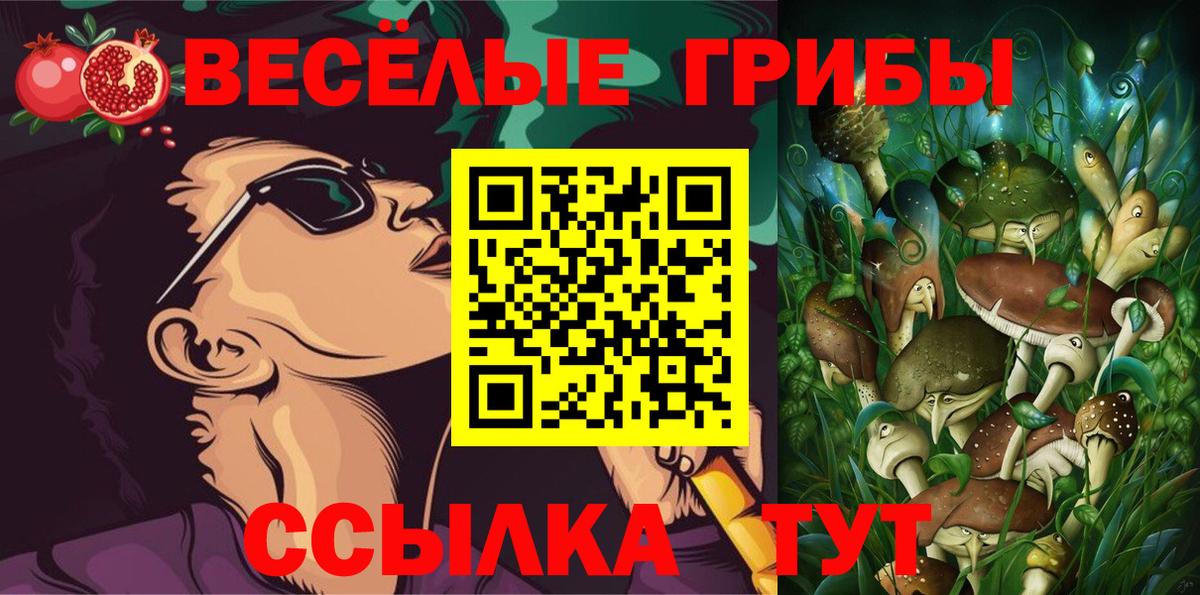 Псилоцибиновые грибы Psilocybine cubensis  Псилоцибиновые грибы MAGIC MUSHROOMS  Вход с VPN  Бутурлиновка 