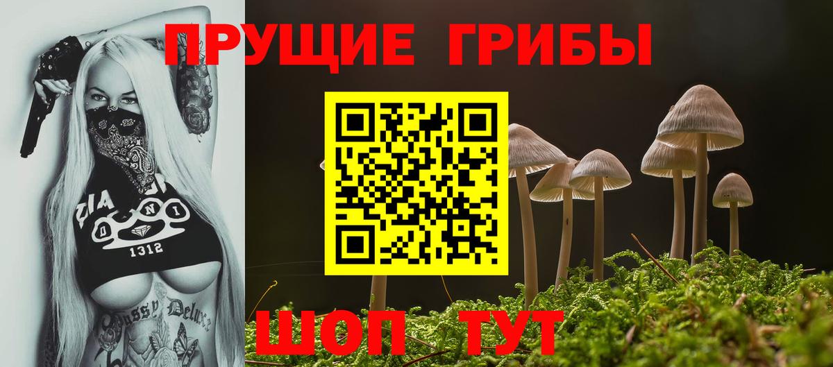 Псилоцибиновые грибы GOLDEN TEACHER Бутурлиновка